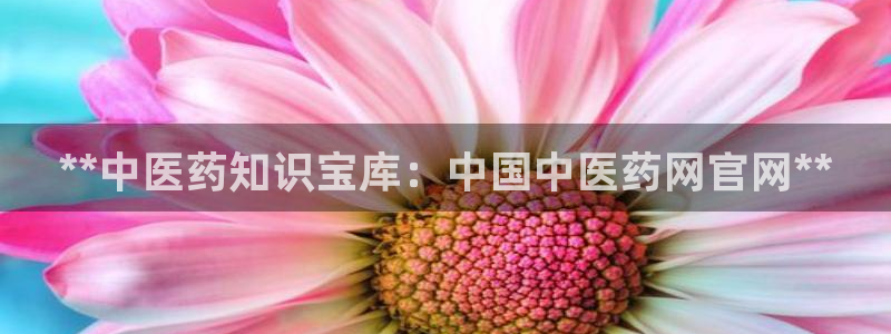 九游会AG在线平台