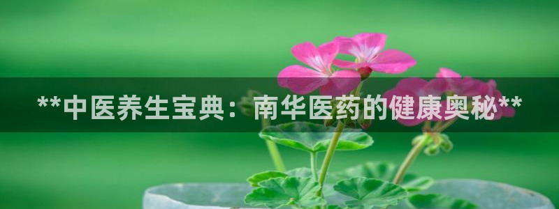 j9九游会真人游戏第一