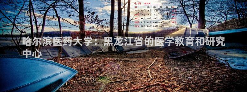j9九游会最新官网