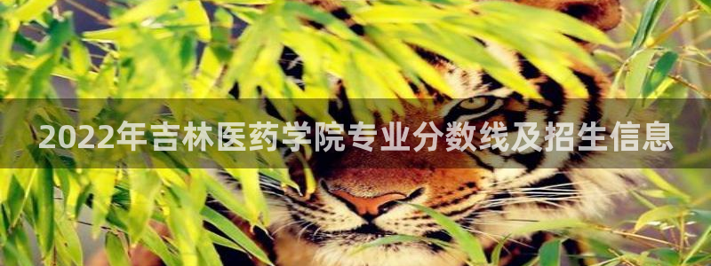 九游会 app下载