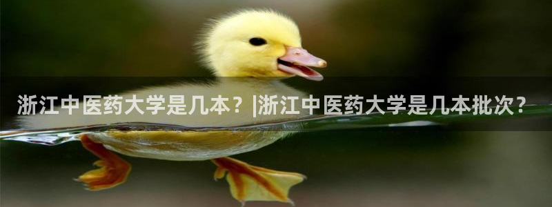 九游会是一个什么网站
