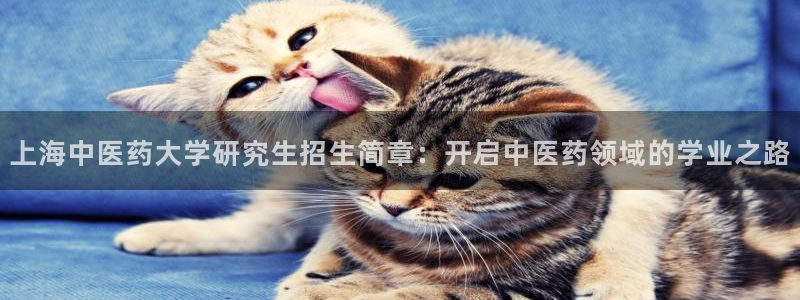 J9九游会能退款吗