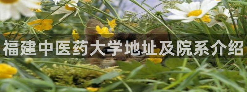 九游会AGapp下载