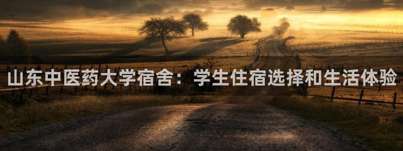 九游会在线官方：山东