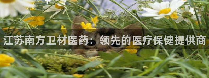 九游j9