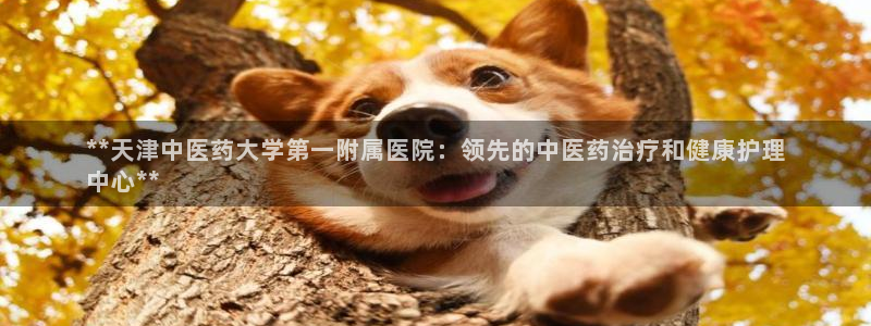 九游会官网在线