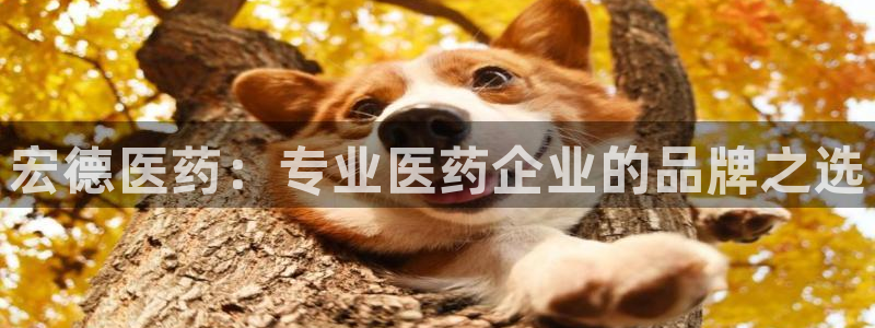 九游j9官网入口