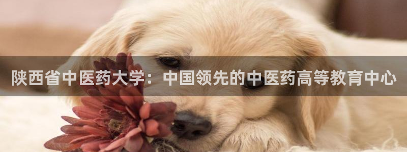 J9九游会官方平台
