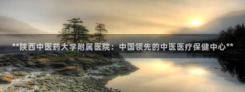 九游会亚洲