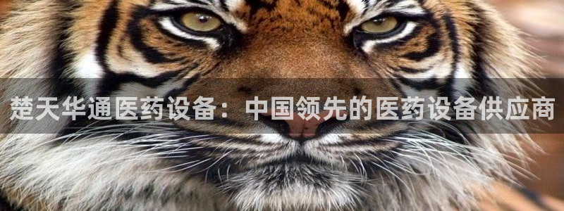 j9九游会直营：楚天 