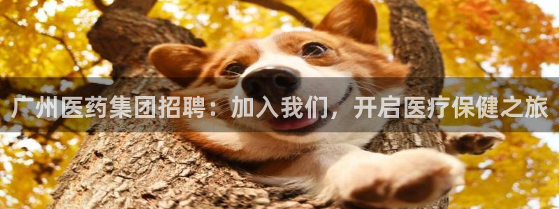 J9九游会是干嘛的