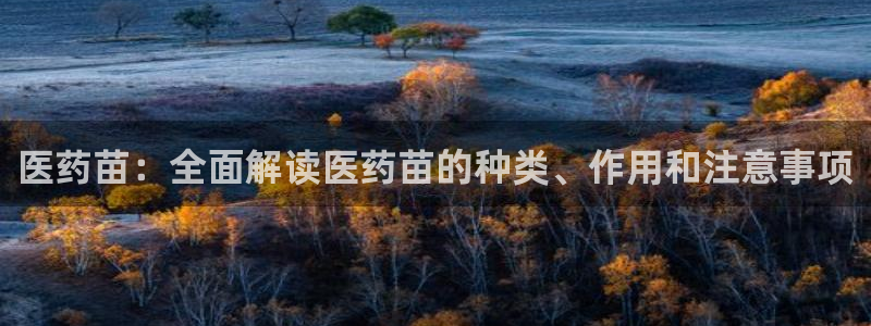 九游会app官方