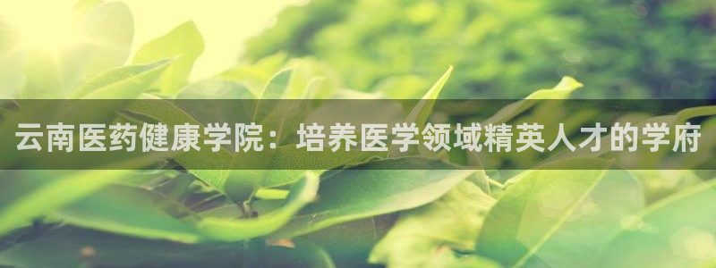 j9九游会入口